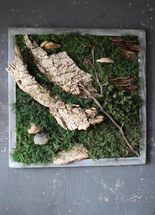 Картина зі стабілізованого моху "норвезький ліс"4 фото