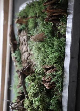Картина зі стабілізованого моху "норвезький ліс"5 фото