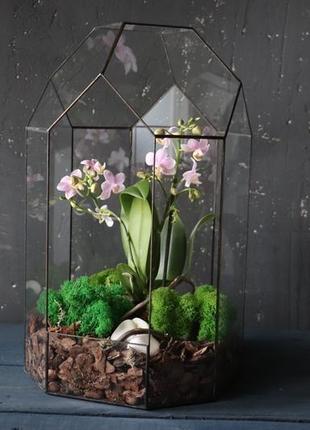 Флораріум з орхідеями "квіткове мистецтво"2 фото