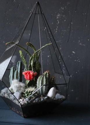 Флораріум з кактусами "велич"1 фото