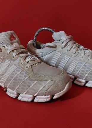 Женские кроссовки adidas climacool по факту 37.5р. 23.5 см