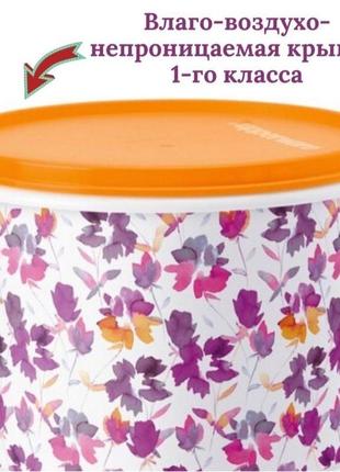 Набір: ємність «осінні квіти» (1,1 л) 2 шт, tupperware2 фото