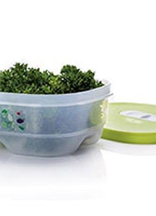 Контейнер «розумний холодильник» 800 мл,tupperware