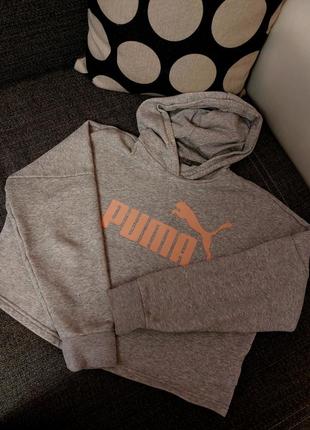 Толстовка puma3 фото