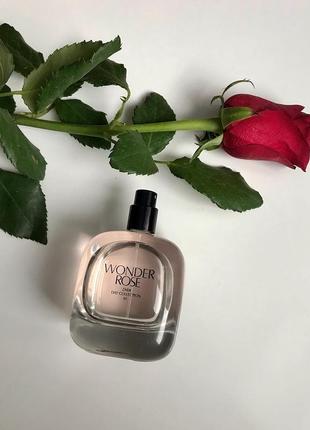 Zara wonder rose