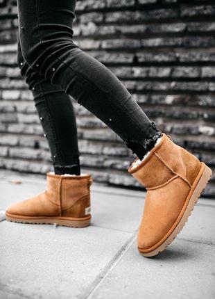 Ugg w classic mini chestnut
сапоги женские угы4 фото