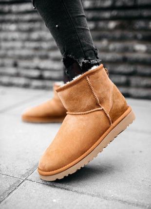 Ugg w classic mini chestnut
сапоги женские угы5 фото