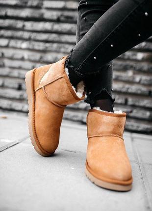 Ugg w classic mini chestnut
сапоги женские угы6 фото