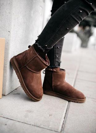 Ugg classic mini "chocolate" чоботи жіночі угі