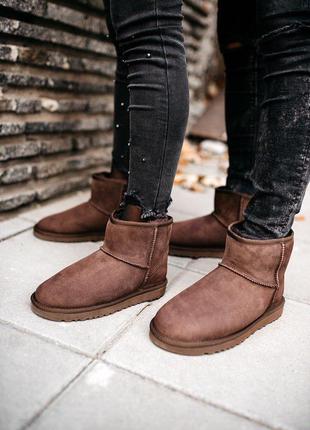 Ugg classic mini “chocolate” сапоги женские уги5 фото