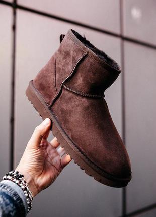 Ugg classic mini "chocolate" чоботи чоловічі угі