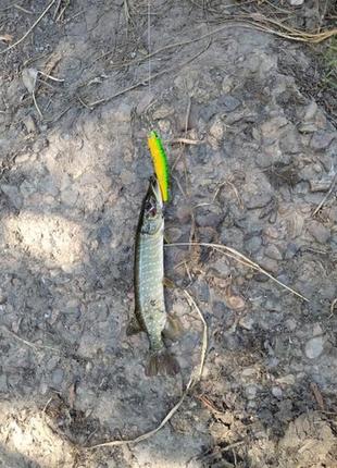 Воблер wlure orbit 80ss (zipbaits orbit 80sp)2 фото