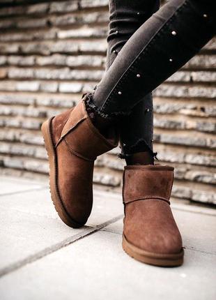 Парные угги ugg classic mini “chocolate”❄,фемили лук3 фото