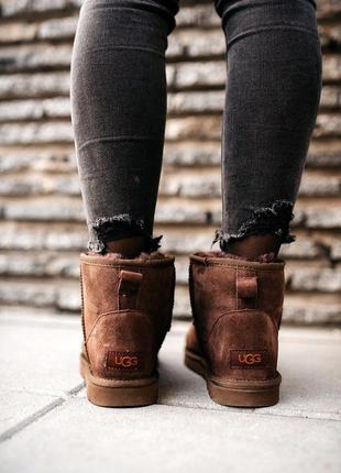 Парные угги ugg classic mini “chocolate”❄,фемили лук4 фото