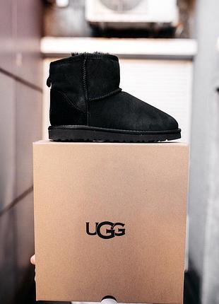 Угги замша ugg classic mini “black”, зимние сапоги