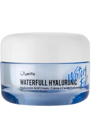 Зволожувальний крем з гіалуроновою кислотою jumiso waterfull hyaluronic cream, 50 мл
