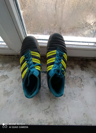 Adidas predator