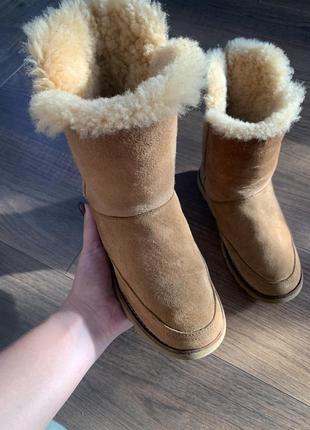 Жіночі зимові чобітки ugg 362 фото