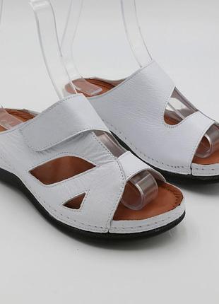 Шлепанцы  женские летние кожаные размер  с 36 по 41 anna lucci код-( 185200 )