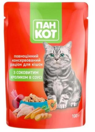 Пан кот кролик в соусе влажный корм для котов 100 гр. пауч