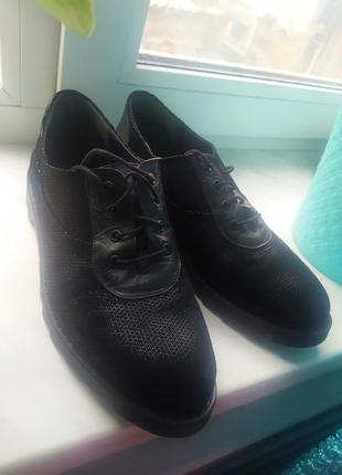 Шкіряні туфлі-кросівки