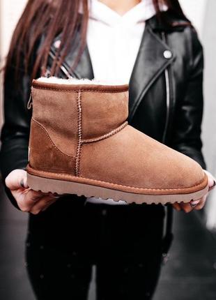 Шикарные женские угги ugg mini