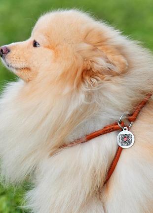 Шлея з повідцем для собак шкіряна waudog soft з qr паспортом, кругла, д 6 мм, а 26-46 см, в 30-50 см5 фото