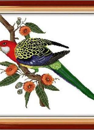 Набір для вишивання за нанесеною на канву схемою "parrot". aida 14ct printed 46*44 см