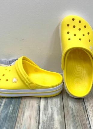 Сабо крокс крокбенд клог жовті лимоні crocs crocband clog yellow lemon/white4 фото