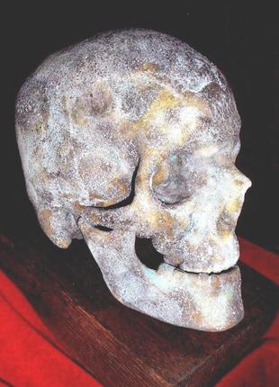 Людський череп 1:1 бронза метал, латунь, білий метал1 фото