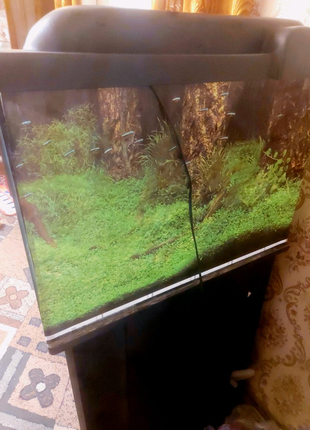 Чорний угловий акваріум на 85 літрів 54×54×423 фото