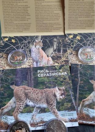 Рись євразійська. монета нбу