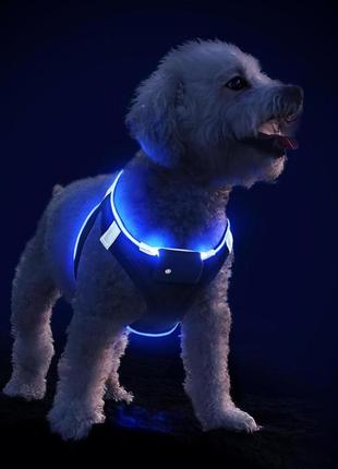 Pceotllar light up dog harness, светодиодная упряжь для собак для маленьких средних собак синий л