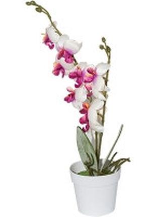 Искусственная орхидея 40см (с горшком) из 2 веточек в горшке.