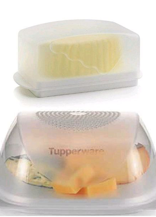 Tupperware набір розумна сирниця мала (20,5 см/ 20,5 см) і маслян1 фото