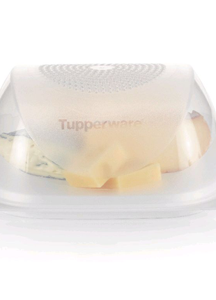 Tupperware набір розумна сирниця мала (20,5 см/ 20,5 см) і маслян3 фото