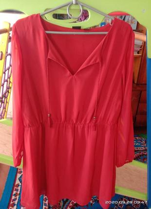 Шифонове плаття з довгими рукавами