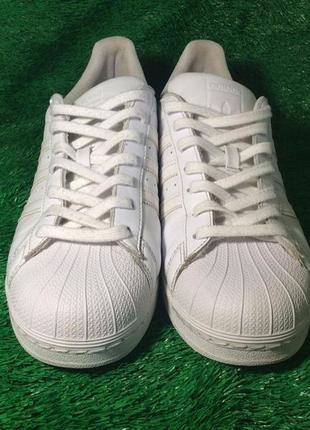 Кросівки adidas originals superstar white