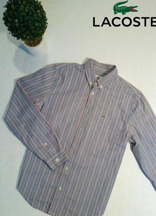 Рубашка lacoste