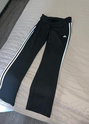 Спортивные штаны adidas m/l