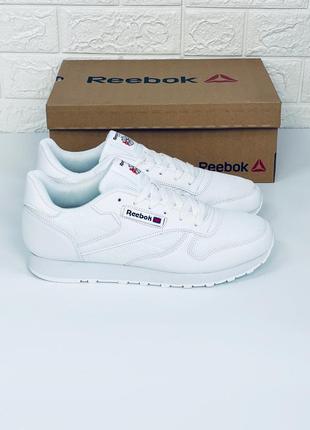 Кроссовки мужские reebok classic лето сетка кросовки рибок класик1 фото