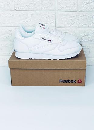 Кроссовки мужские reebok classic лето сетка кросовки рибок класик3 фото