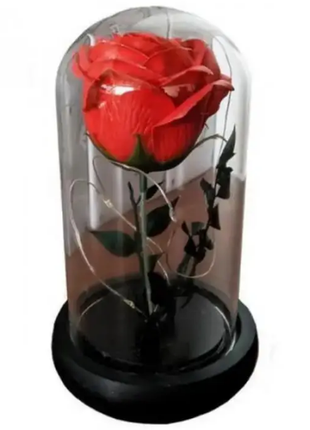 Вічна троянда в скляній колбі з підсвічуванням.2 фото