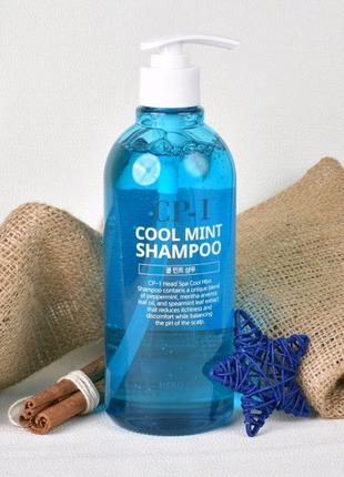 Шампунь esthetic house cp-1 head spa cool mint  shampoo