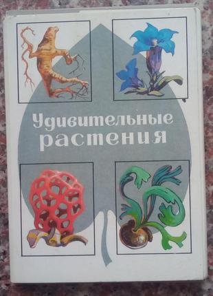 Дивовижні рослини. 32 листівки. - м., 1989