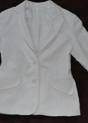 Вельветовый пиджак nl collection