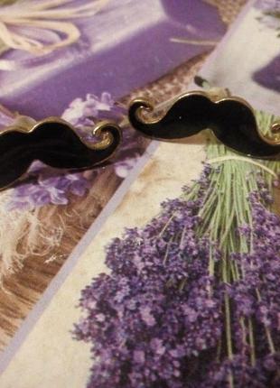 Сережки сережки у вигляді вусів