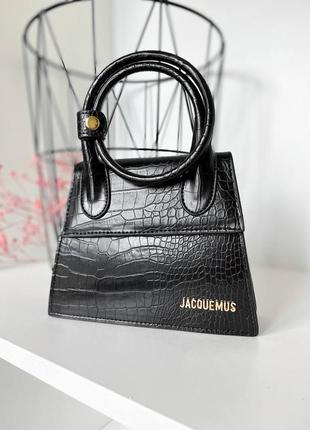 Трендова маленька сумка jacquemus