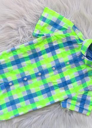 Стильна сорочка з коротким рукавом next