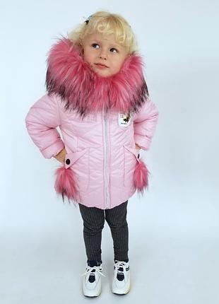 Куртка,курточка